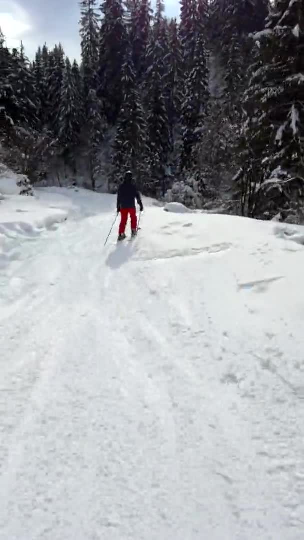 Катание на лыжах по склону в лесу — стоковое видео
