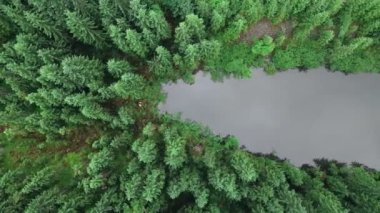 Karpatya dağlarındaki Rosohan Gölü manzarası