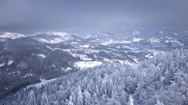 Вид с воздуха на снежные зимние горы — стоковое видео