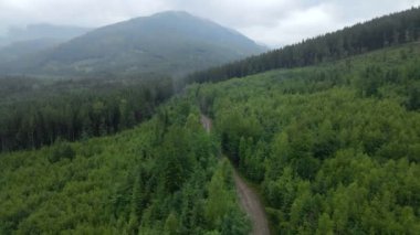 Karpat dağlarının üzerinden bulutlu havada uçan bir kukla gibi ateş et.