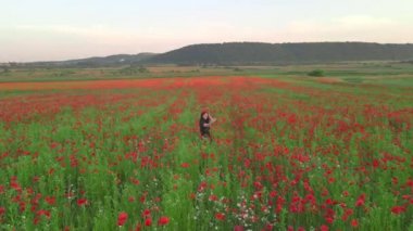 Siyah elbiseli kadın gün batımında gelinciklerin çiçek tarlasında fotoğraf çekiyor.