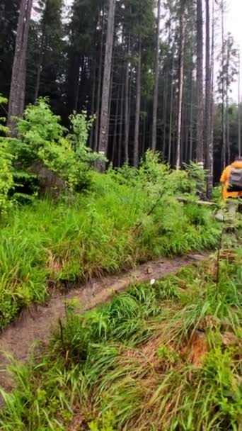 森林歩道を歩く黄色いレインコートの男ハイカー — ストック動画
