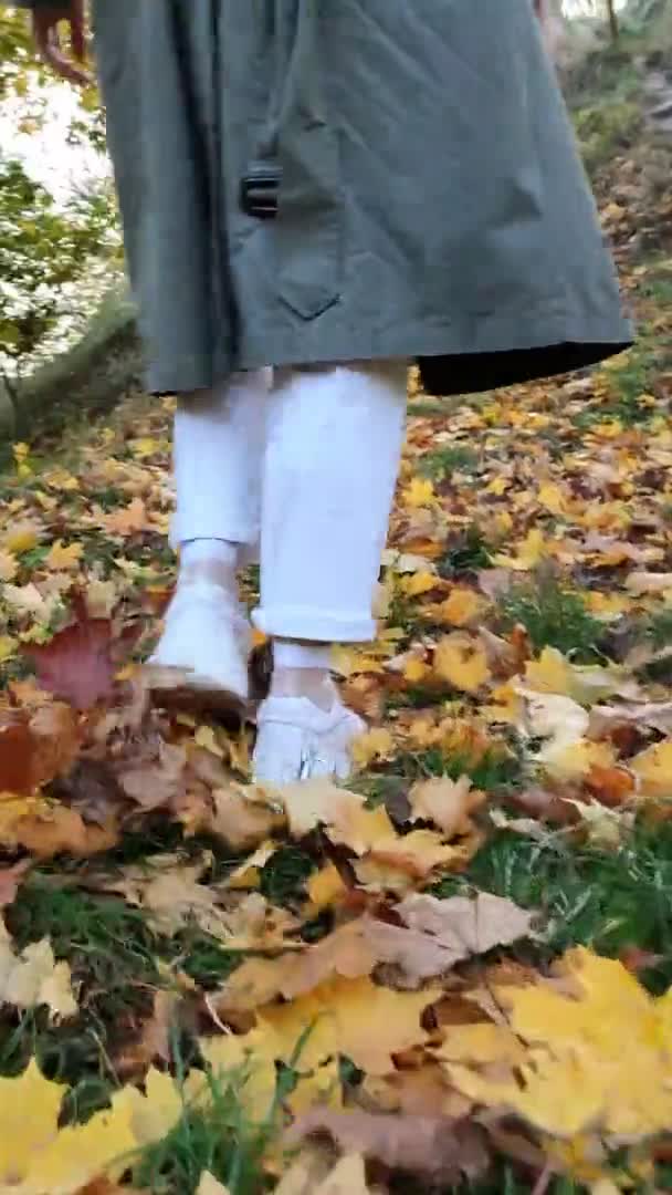 Kvinna promenader genom gula lönnlöv — Stockvideo