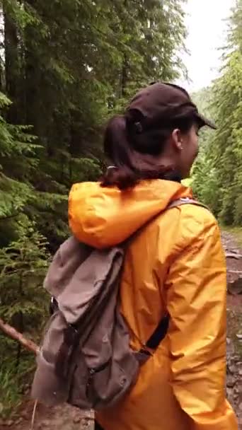 산속의 숲 속을 하이킹하는 노란 비옷을 입은 여자 — 비디오