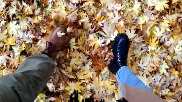 Pareja caminando por otoño hojas de arce en el suelo — Vídeos de Stock