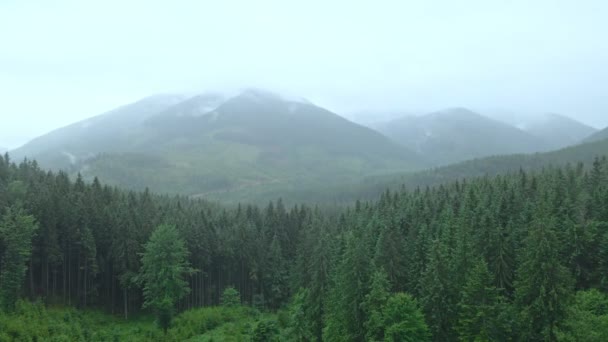 Rainy weather in carpathian mountains dolly shoot — Stock Video
