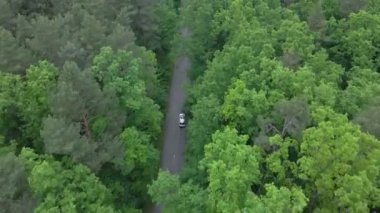 Pist boyunca hareket eden her iki taraftan da yeşil ormanı izleyen hava görüntüsü.