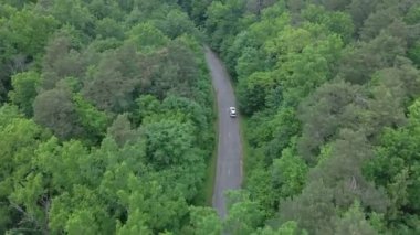 Pist boyunca hareket eden her iki taraftan da yeşil ormanı izleyen hava görüntüsü.