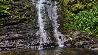 Ormandaki sonbahar şelalesi manzarası