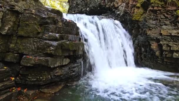 Vista de la cascada con pequeño lago en el bosque de otoño — Vídeos de Stock