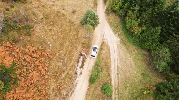 Вид сверху автомобиля, движущегося по тропинке в лесу — стоковое видео