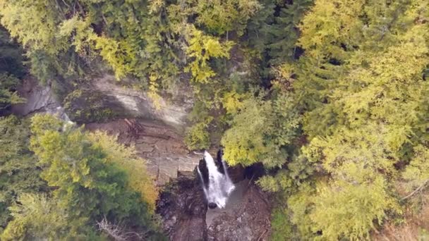 Vista aérea de la cascada de otoño en el bosque de montañas — Vídeos de Stock