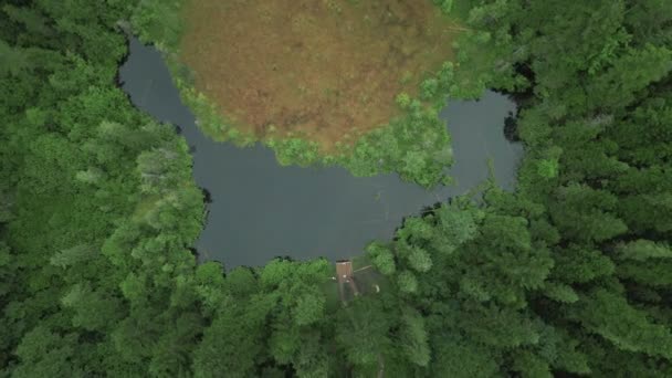 Luftaufnahme von Wanderern, die den See im Bergwald betrachten — Stockvideo