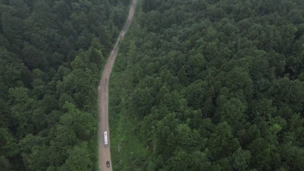 Flygfoto över vägen i skogen efter storm — Stockvideo