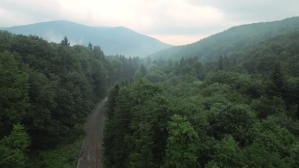 Flygfoto över vägen i skogen efter storm — Stockvideo