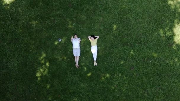 Sonriente pareja acostada en la hierba directamente encima de la vista — Vídeos de Stock