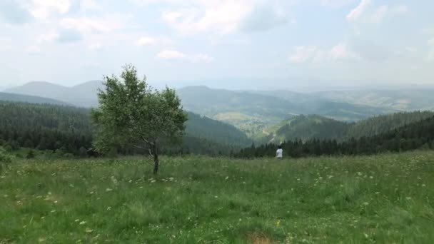 山脈の景色を楽しむ女性は — ストック動画