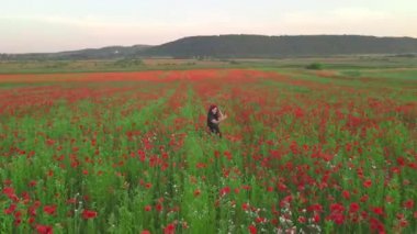 Siyah elbiseli kadın gün batımında gelinciklerin çiçek tarlasında fotoğraf çekiyor.