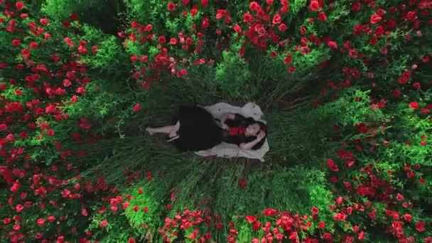 Жінка лежить на землі на полі квітів маків — стокове відео