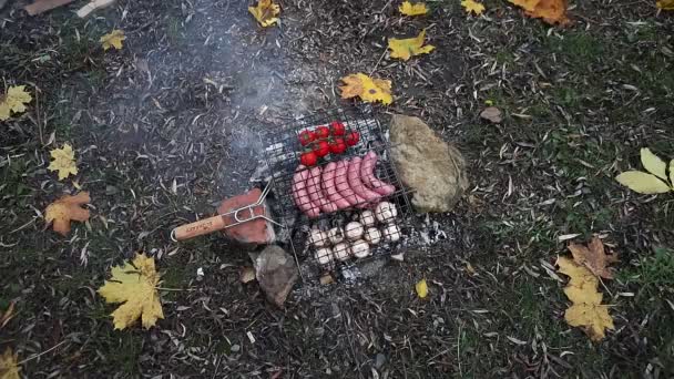 用煮熟的香肠、西红柿和蘑菇加成篝火 — 图库视频影像