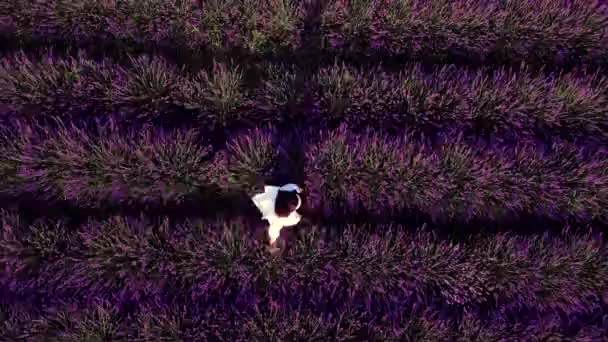 Prachtige vrouw in witte jurk wandelen door lavendel veld — Stockvideo