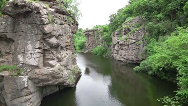 渓谷の川の上からの眺め — ストック動画
