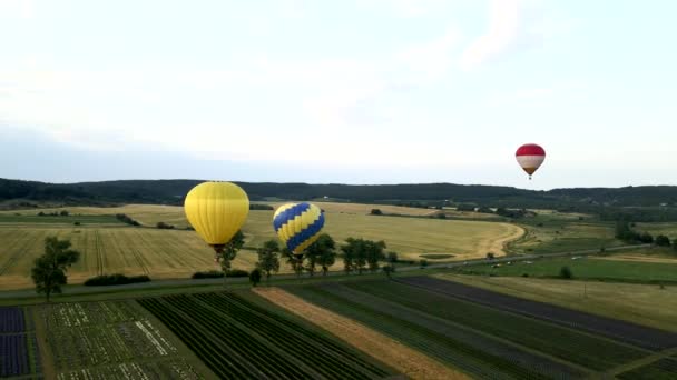空中装有篮子的气球 — 图库视频影像