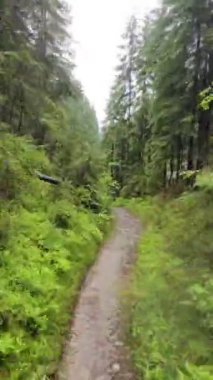 Orman patikalarında aşırı kayma