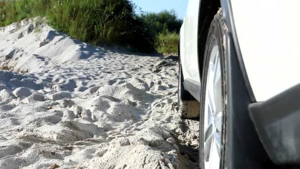 Mujer saliendo del coche en aletas en la playa de arena — Vídeo de stock