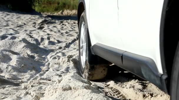 Homme sortant de la voiture en palmes à la plage de sable fin — Video