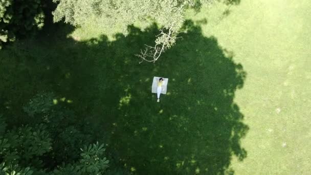 Улыбающаяся женщина лежит на одеяле на зеленой траве — стоковое видео