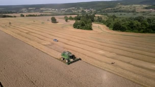 Oogstmachine op het tarweveld — Stockvideo