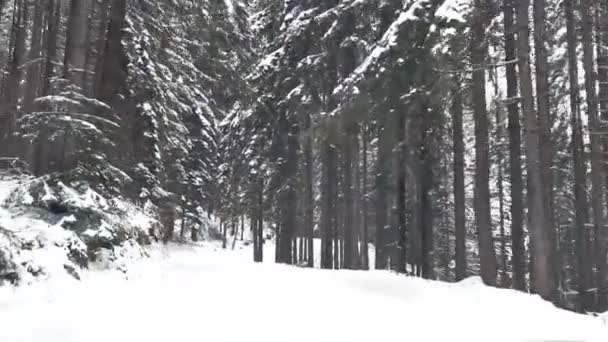 Jazdy samochodem na śniegu górskiej drogi — Wideo stockowe