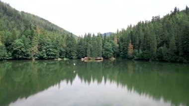 Carpathian dağlarındaki Synevyr Gölü