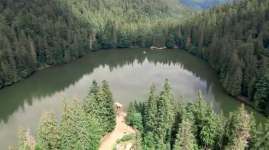 Carpathian dağlarındaki Synevyr Gölü