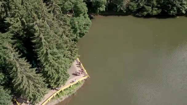 Вид с воздуха на озеро Синевир в украинских Карпатах — стоковое видео
