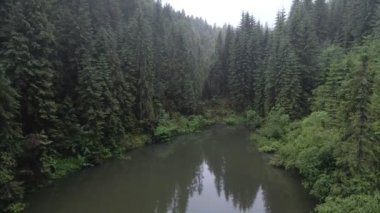 Yağmurlu havalarda Karpatya Gölü Rosohan 'ın havadan görünüşü
