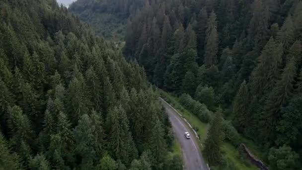 Bus bergerak melalui jalan pegunungan di pegunungan Carpathia — Stok Video