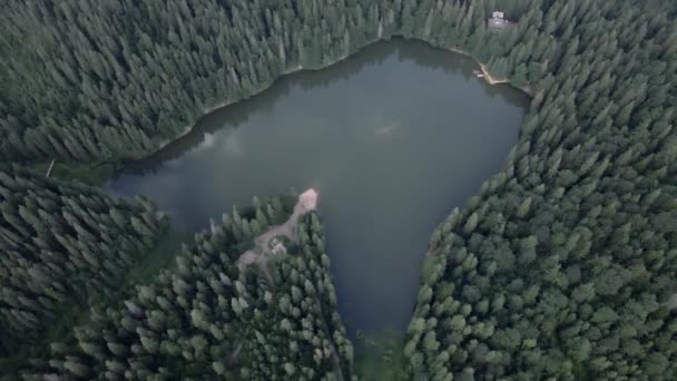 Widok z lotu ptaka jezioro Synevyr w ukraińskich Karpatach — Wideo stockowe