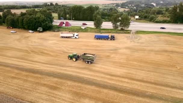 Cosechadora en el campo de cultivo de trigo — Vídeo de stock