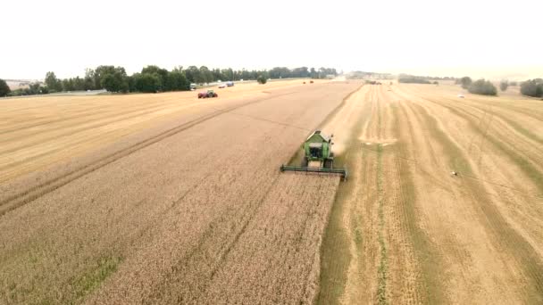 Kombajn na pšeničném poli — Stock video