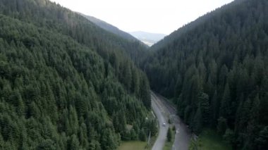 Karpatya dağlarındaki ormanın havadan görünüşü