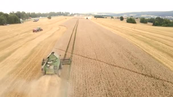 Mietitrice nel campo dell'azienda agricola del grano — Video Stock