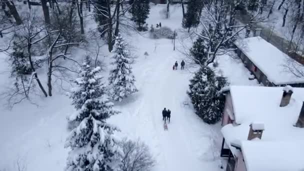 People walking by snowed city public park — Stock Video
