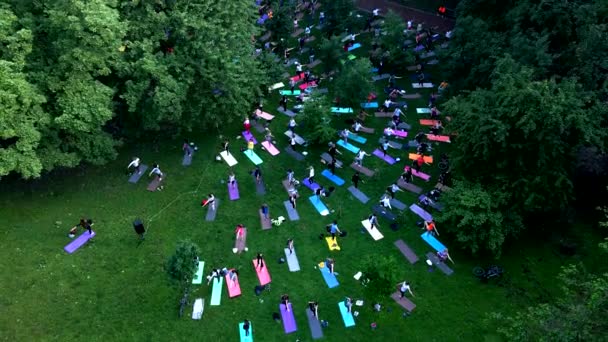 Groep mensen die oefeningen doen in het stadspark — Stockvideo