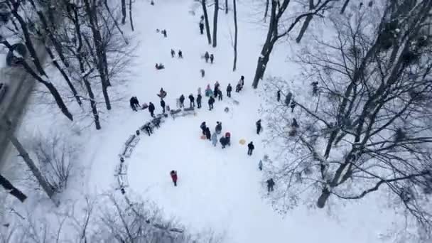 Glada familjer glider från kullen vid snöade vinterpark — Stockvideo