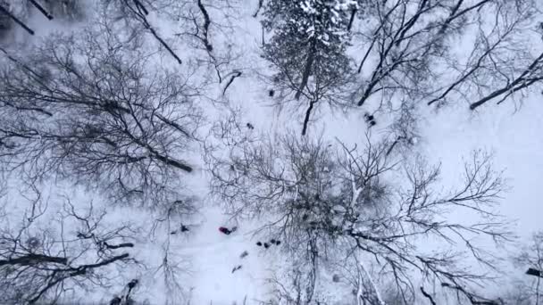 Panoramiczny widok z lotu ptaka na ludzi spacerujących po śnieżnym parku publicznym — Wideo stockowe