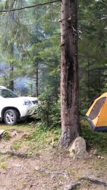 Camping met tent in bos — Stockvideo