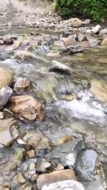 Montañas río arroyo — Vídeos de Stock