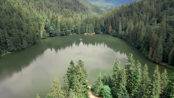 Carpathian dağlarındaki Synevyr Gölü — Stok video